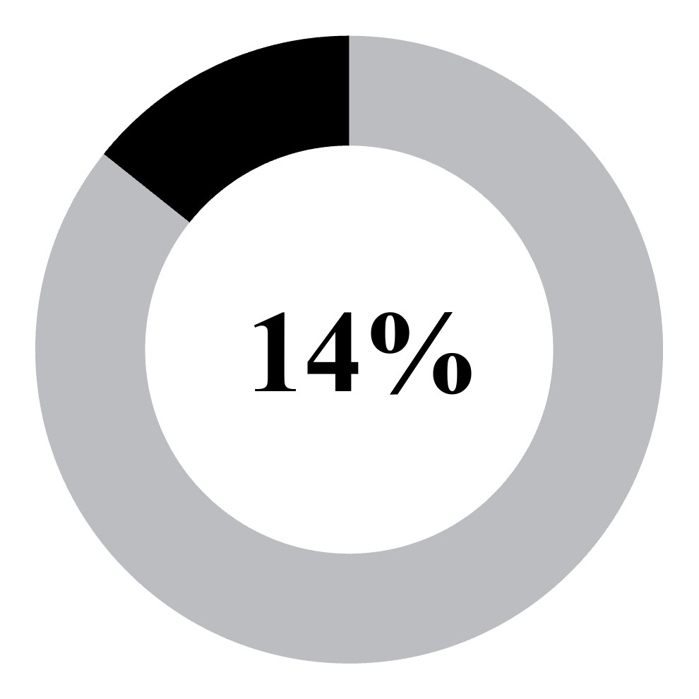 Racial Diversity.jpg